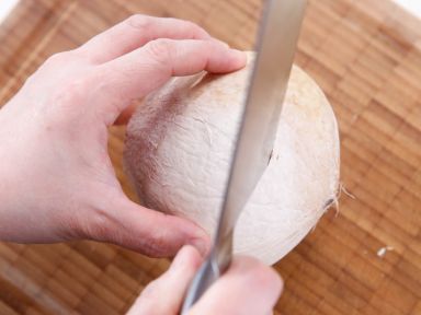 Ҭ��ѩ�������׵�����