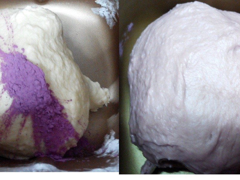 ���������-�ѥ�ι����ֹ����������������