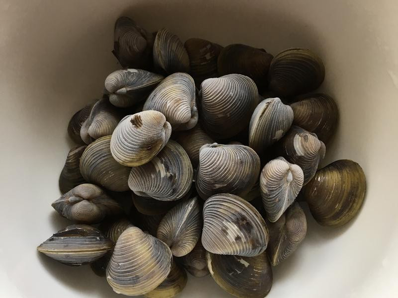 ��ʧ���Z������е�����