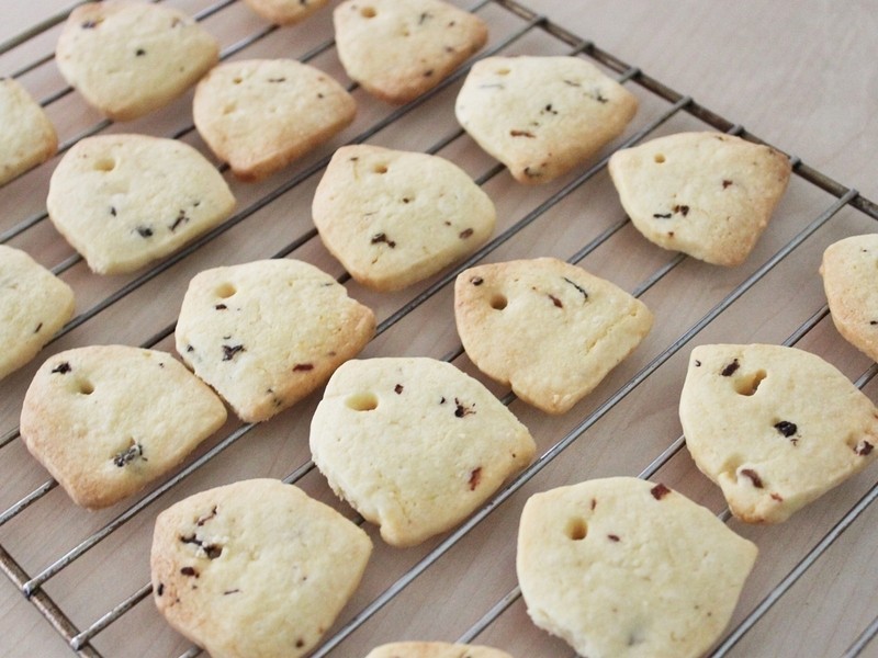 ��������ֹ����ɵ�����