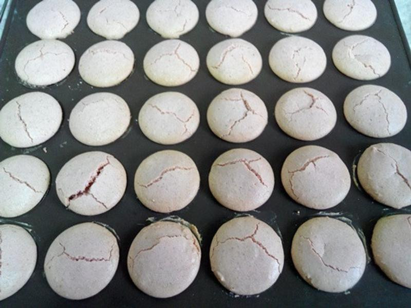 ����ţ������������Ȼ���ձ���ſ��������