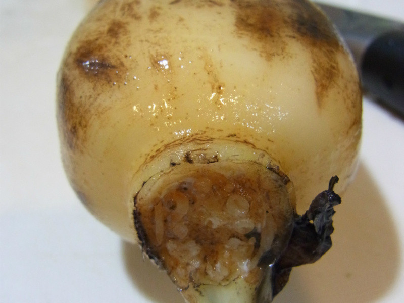 ��Ѫ�����ֻ��Ρ�������ź��������������