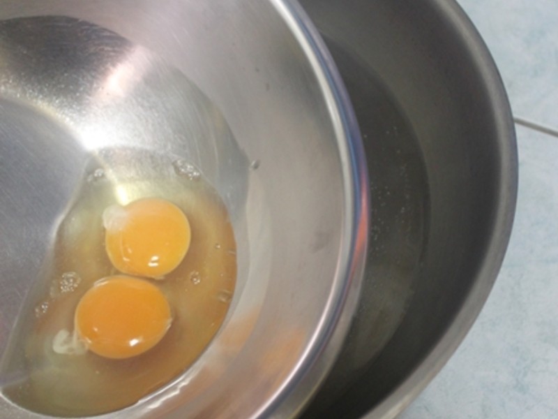 ���������硿��ɭ���ɿ������������