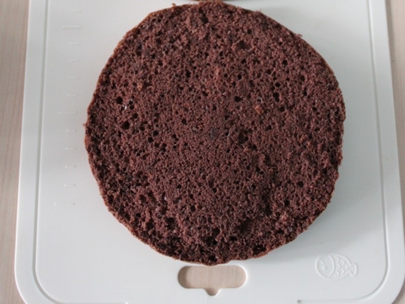 ���������硿��ɭ���ɿ������������