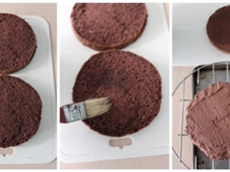 ���������硿��ɭ���ɿ������������