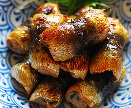 ����÷��ɳ�����������