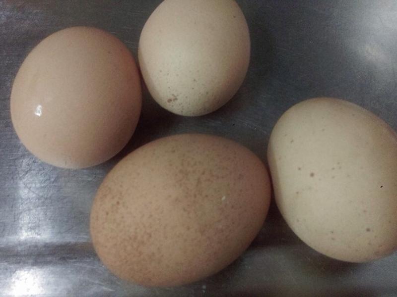 ��Ϻ�ʵ������*��ҹʳ��x��ʳ�ҵ�����