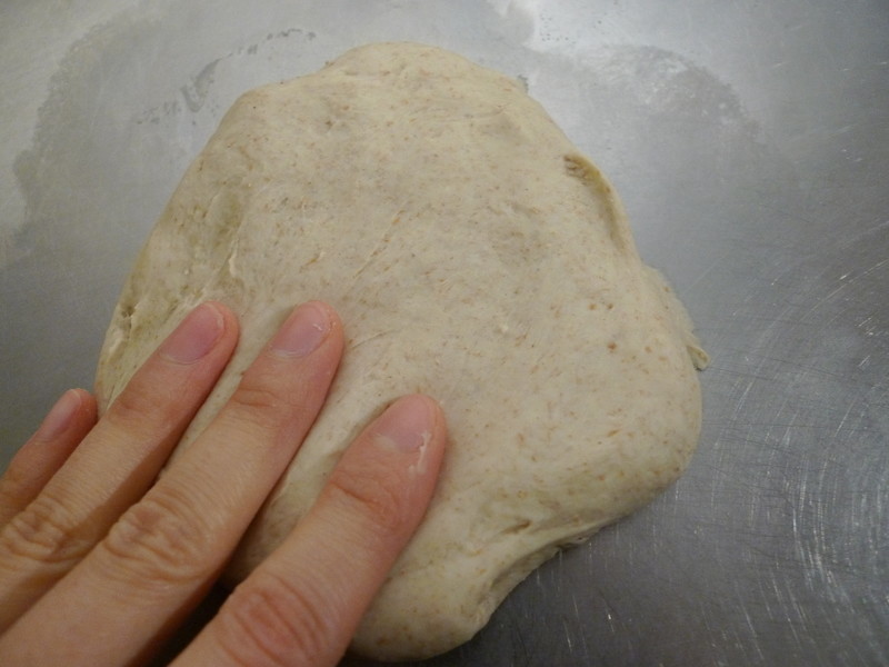 �ö�֥��л���������