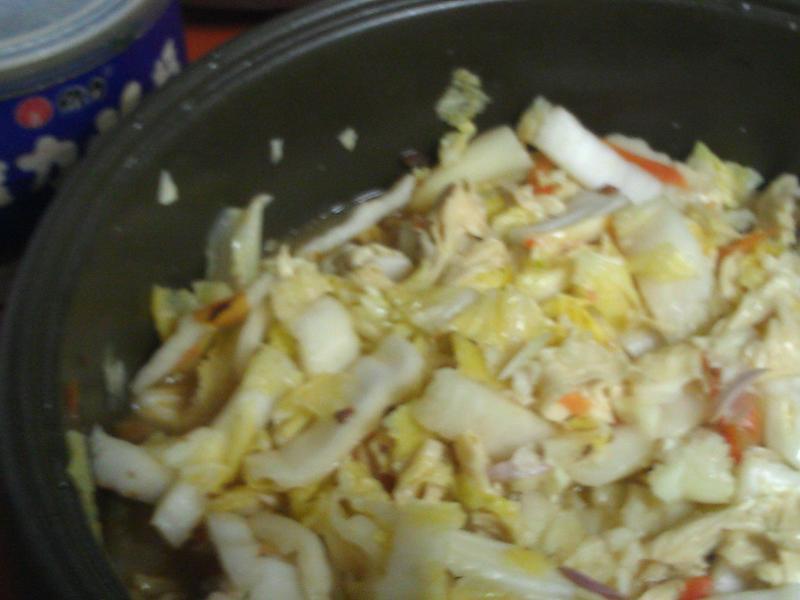 ��Ƥ��ײˡ�ά��ը����������