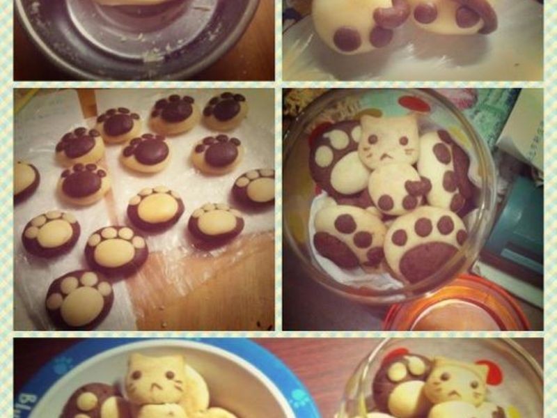 猫掌饼干的做法