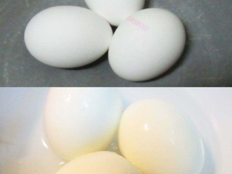 ��ƹ���±֭������~�ɹ���ެ�ѹ�����������