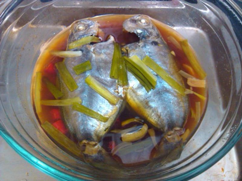 ����������[����]������