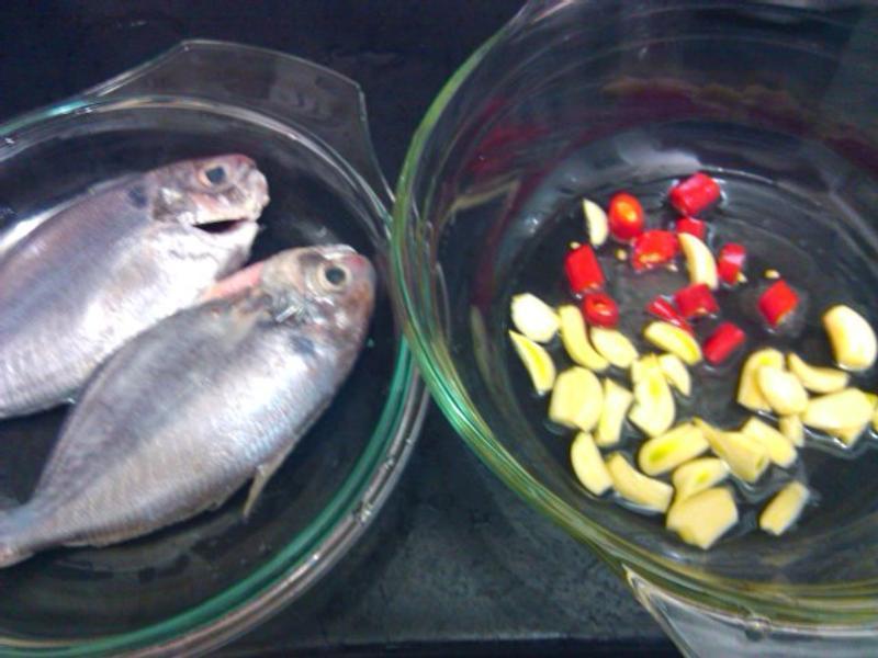 ����������[����]������