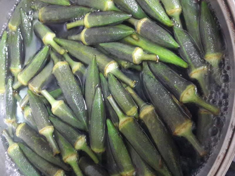 ���������ɳ��������