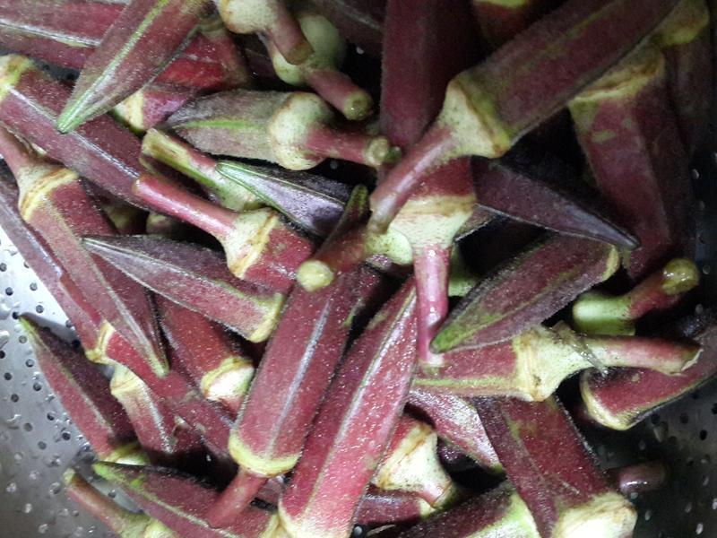 ���������ɳ��������