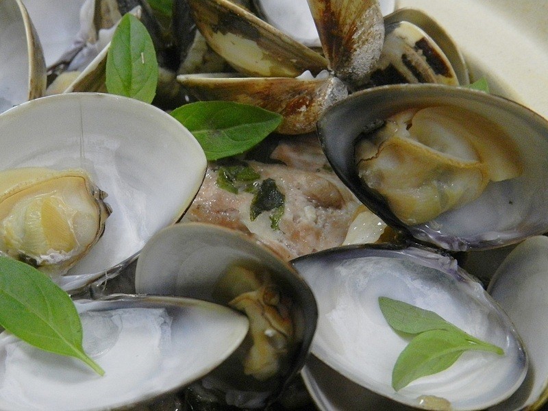 ����������������