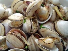 �н������۵�����