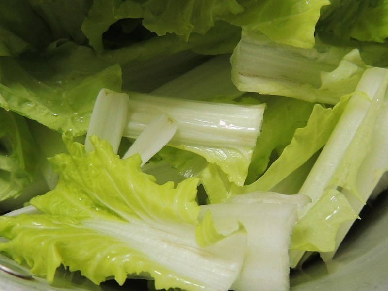 ����˫ɫ�ɰ��������