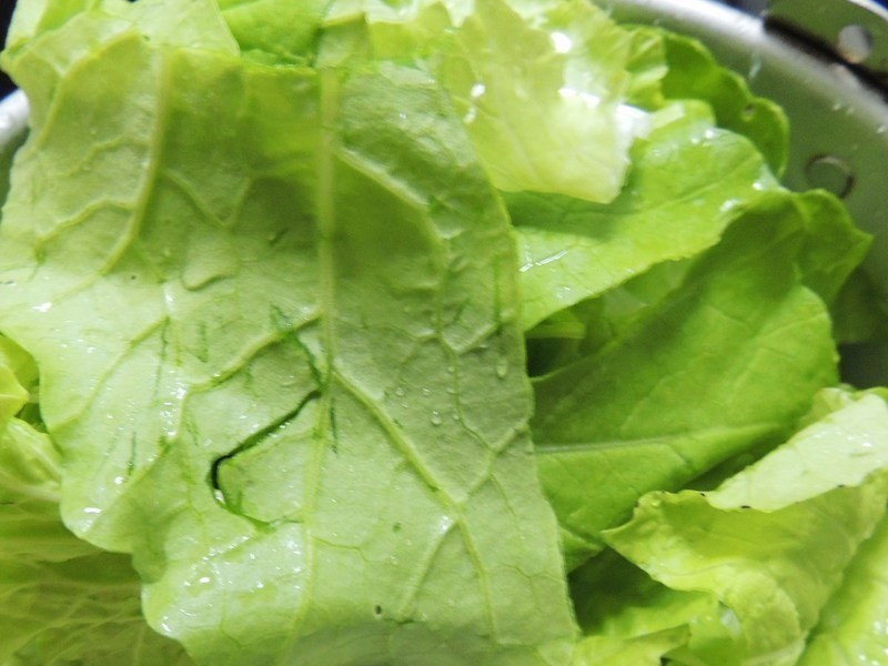 ����˫ɫ�ɰ��������