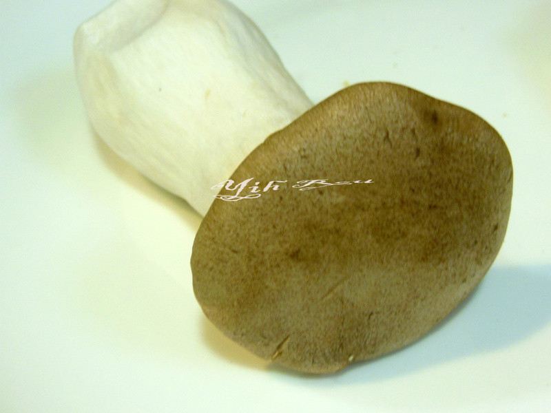 ?������ʳ?�ļ��ӱ���������