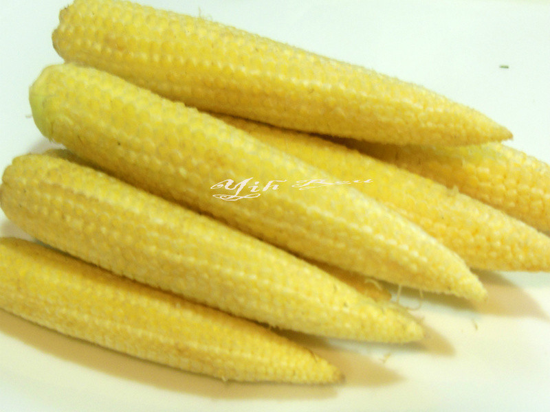 ?������ʳ?�ļ��ӱ���������