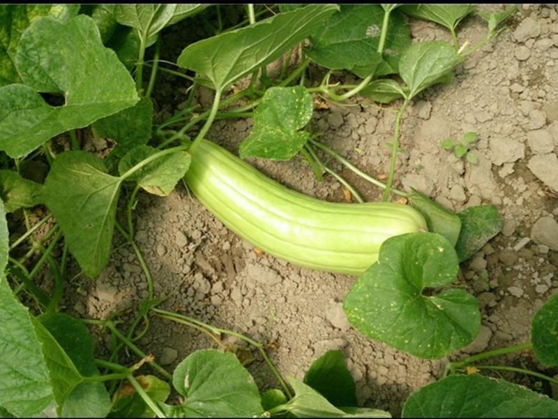 ±�廨�⣨����ζ��������