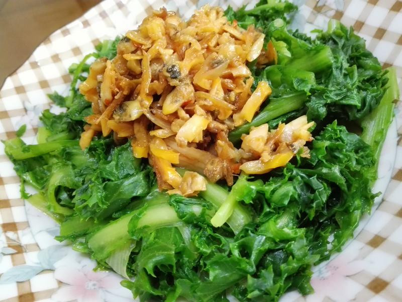 ���ʽ�����ĵ�����