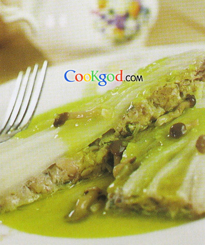 �ײ˼���Ģ������