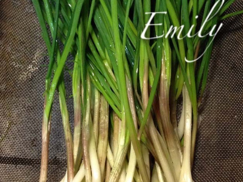 ��г�����˿������