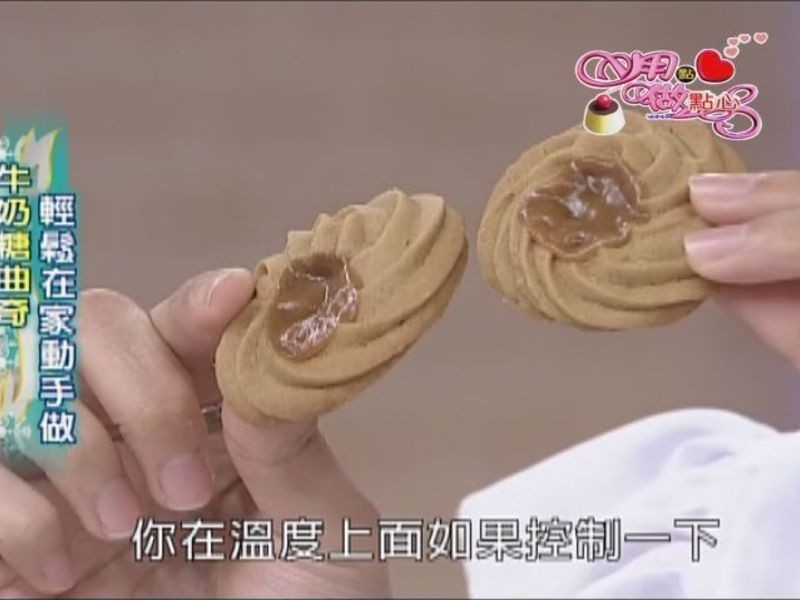 ţ�������������