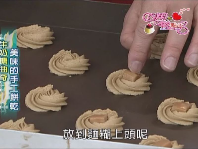 ţ�������������