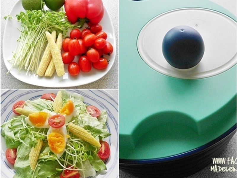 �ͷ���ʳɳ��������