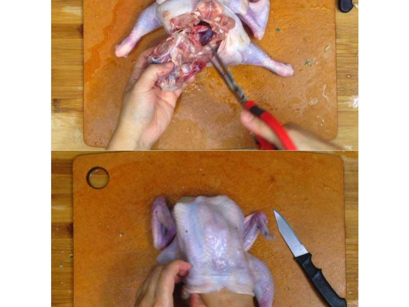 ����ʽ�����𳴷�������