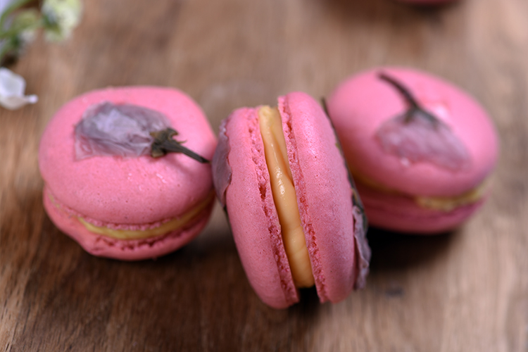 ӣ��������������