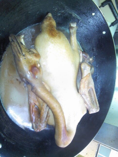 ��������±�������