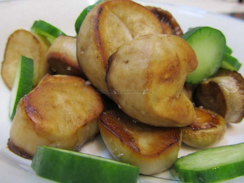 3������������ӱ���(����Ģ��Ҳ��)������