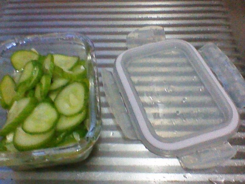 ���׵�����С�ƹϵ�����