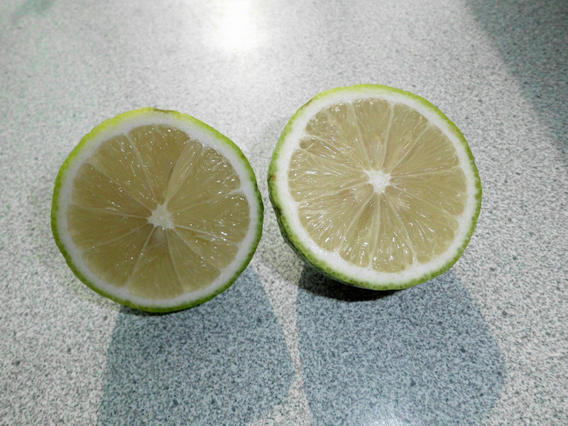 ? ����ơ�ƶ� ?������