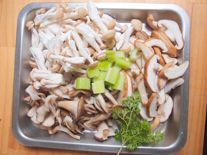 ?�ҵ���������? ���׹�������������