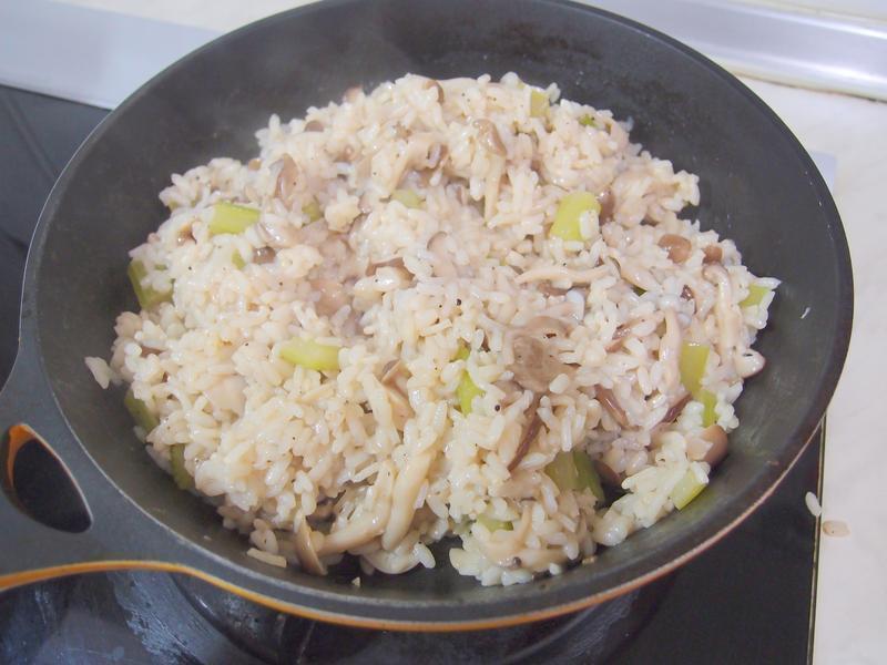 ?�ҵ���������? ���׹�������������