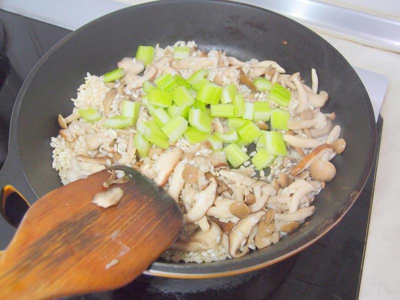 ?�ҵ���������? ���׹�������������