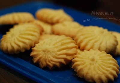 ţ�����������