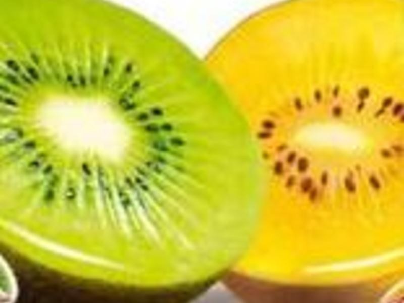 ��С��ŮԪ����硻zespri ˫�����Ӫ���Ÿ������