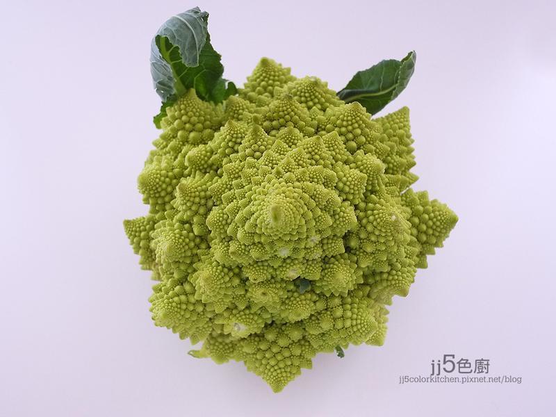 ��˾����ʯ��Ҭ�˵�����