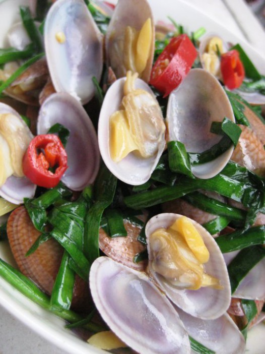 �²��������׵�����