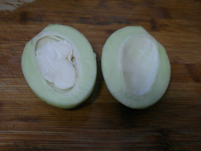 ����â����(���˹�)�������