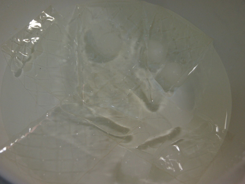 ˮ�����ⶳ������