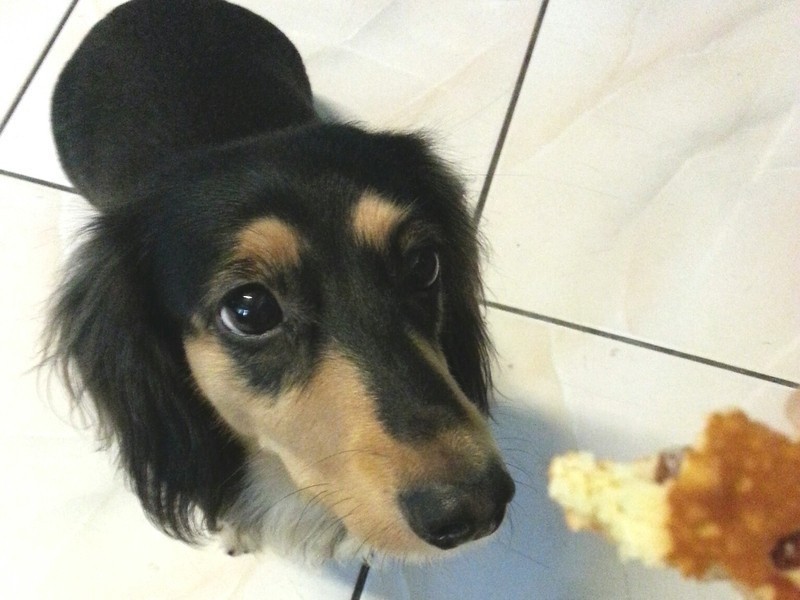 ������-���򵥵ļ��������