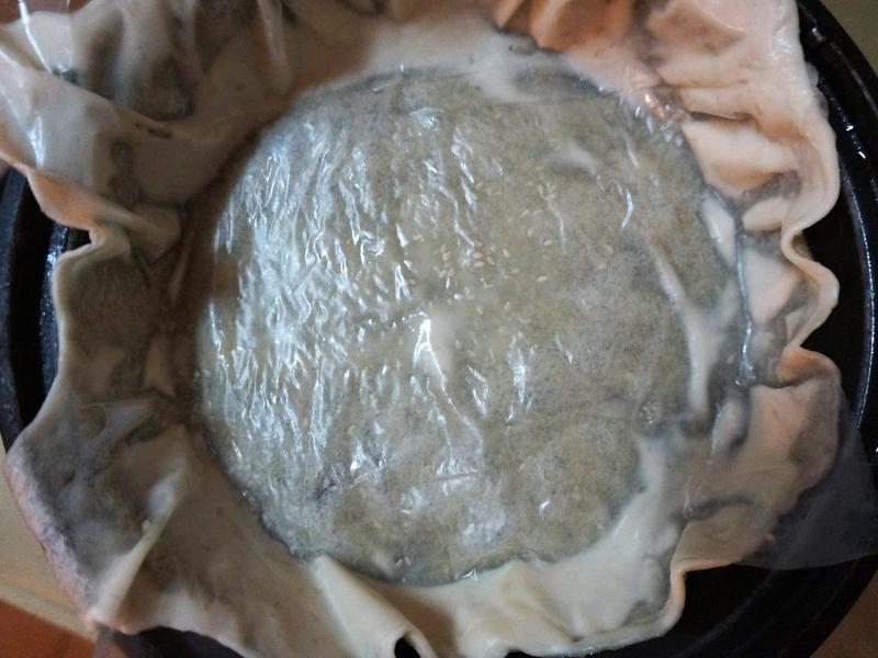 ̩ʽ�㽶���--ӥ�����̵�����