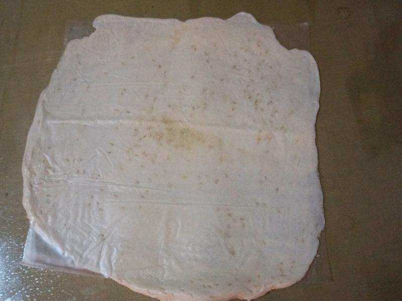 ̩ʽ�㽶���--ӥ�����̵�����